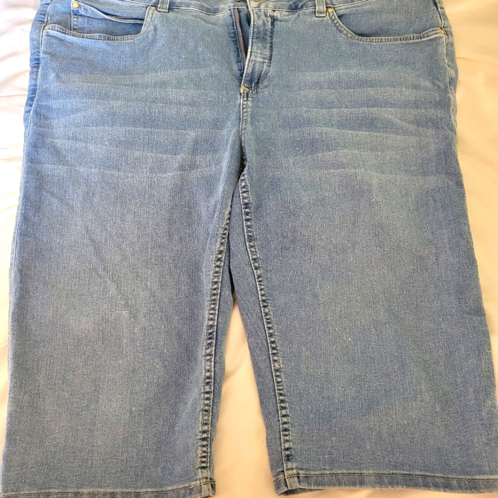 Assorted brands Lot of 18w Bermuda shorts.